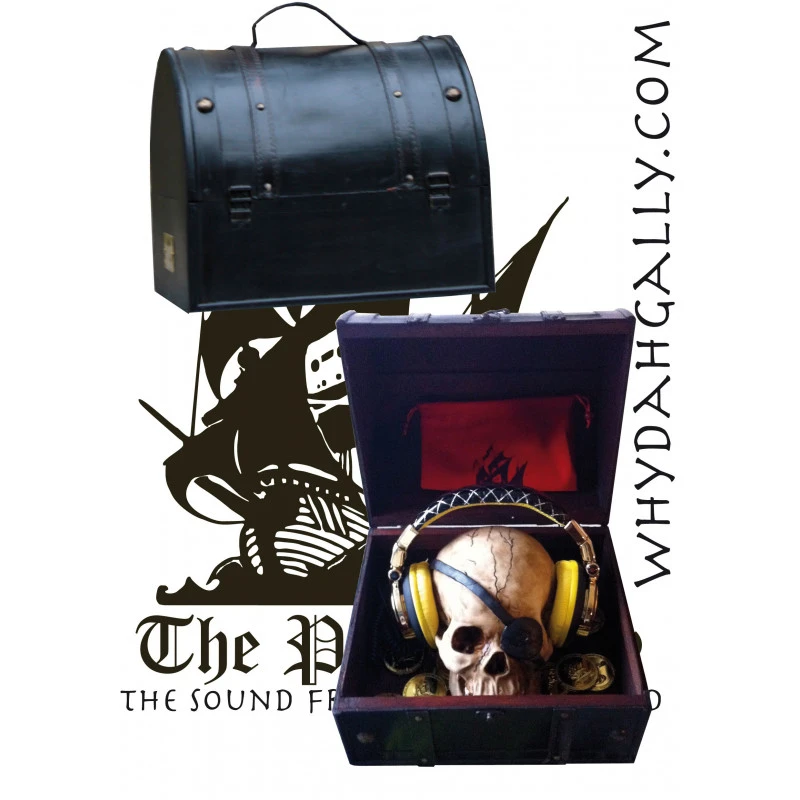 Casque Audio DJ Dead Parrot Don´t Talk Rose 5 Casque Audio DJ Dead Parrot Don´t Talk Rose – Image 3