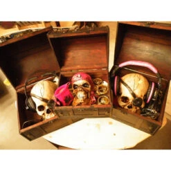 Casque Audio DJ Dead Parrot Don´t Talk Rose 9 Casque Audio DJ Dead Parrot Don´t Talk Rose -Pas Cher Surf Magasin casque audio dj dead parrot dont talk rose 3