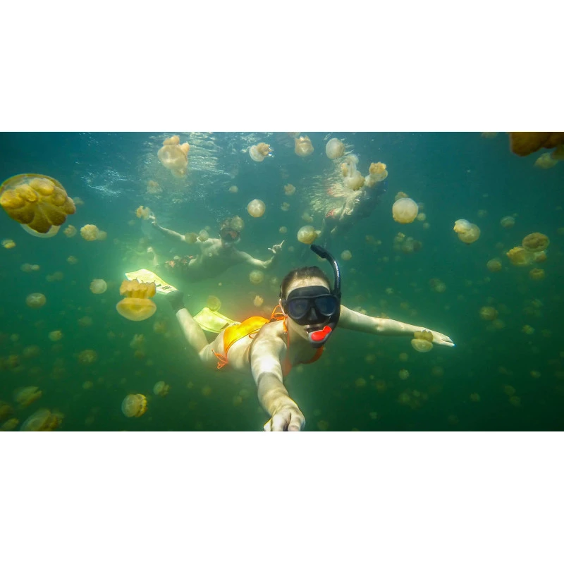 Go Pro 3-Way 7 Go Pro 3-Way – Image 5