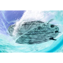 Alternative view of Surf Duotone Whip D/LAB 2025
